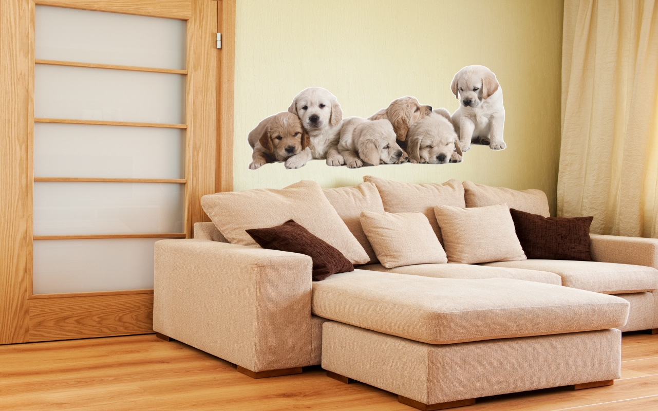 NAKLEJKI NA ŚCIANĘ Psy LABRADORY 2 70x27 cm Długość 27 cm