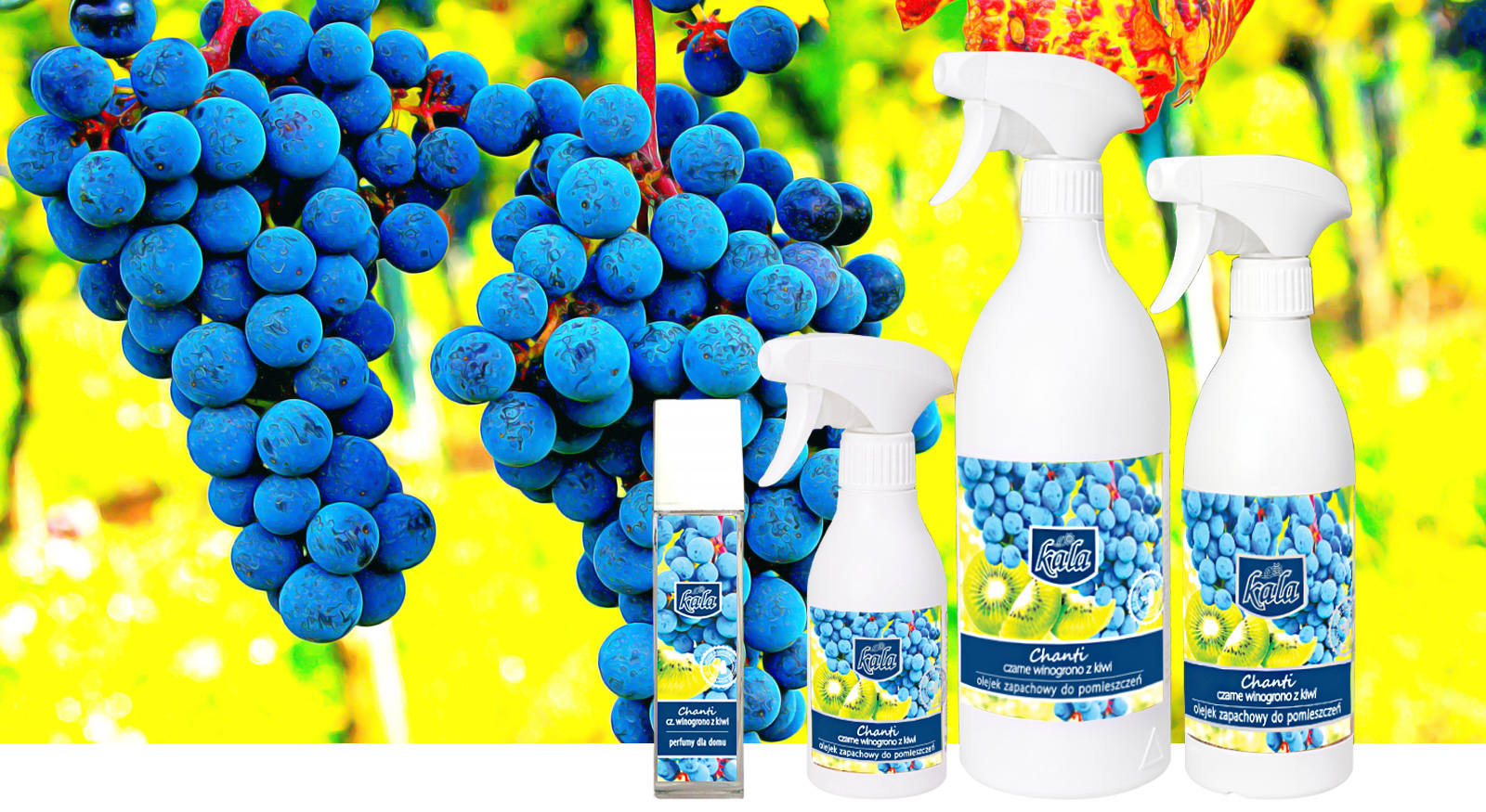 KALA Chanti olejek zapach winogrono z kiwi 500ml EAN (GTIN) 5907731395489