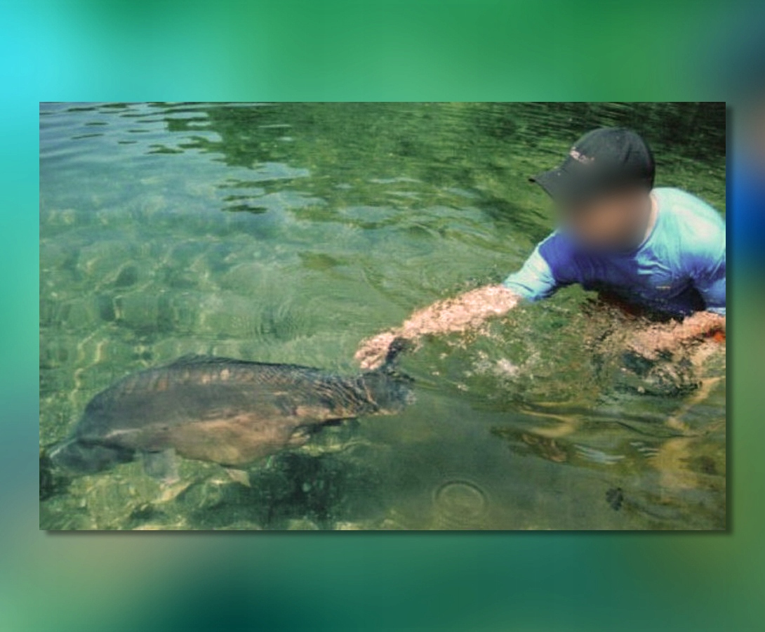 PODBIERAK TELESKOPOWY MISTRALL 170cm DURALUMINIOWY Waga produktu z opakowaniem jednostkowym 1 kg