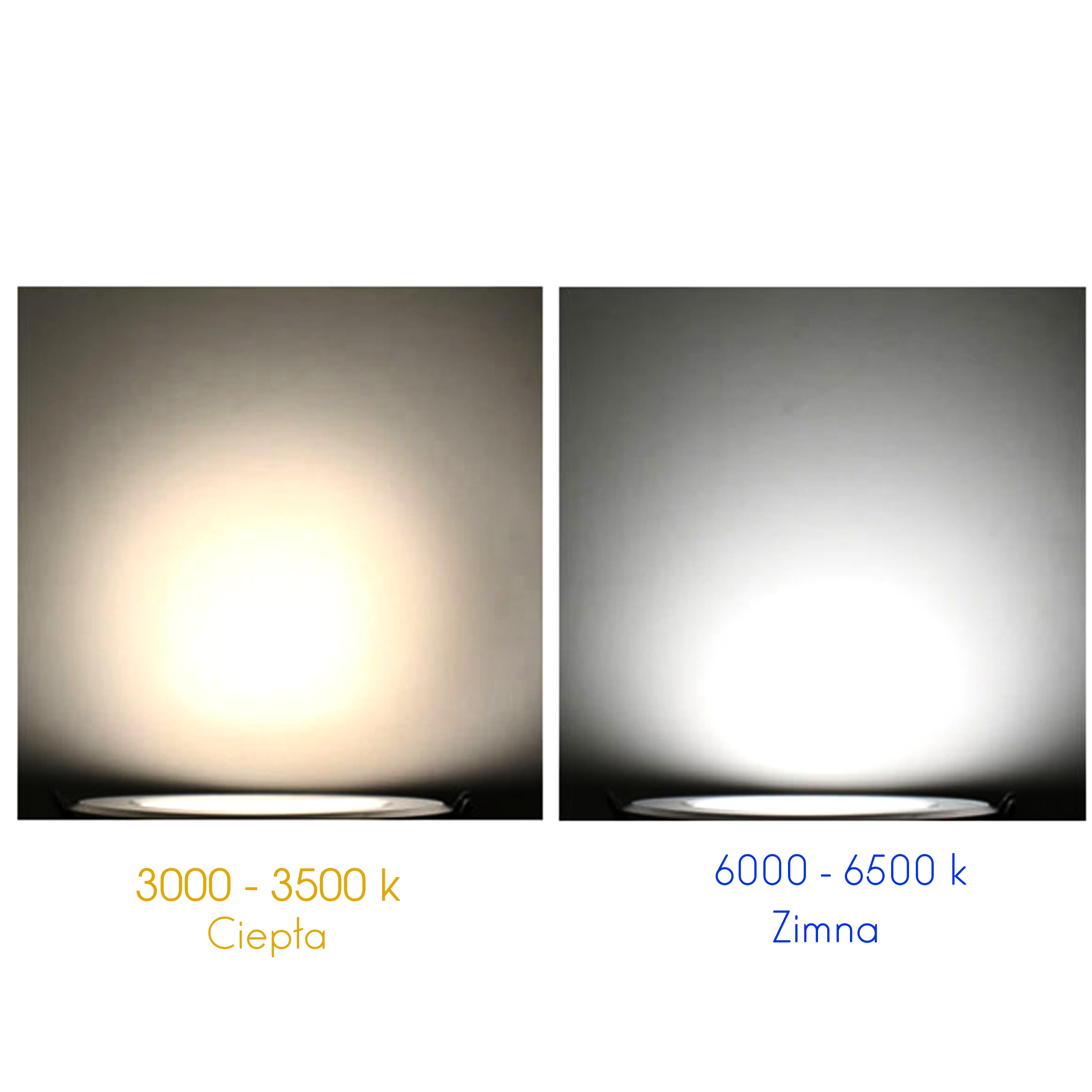 LAMPA LED 120cm NATYNKOWA OPRAWA ŚWIETLÓWKA 5 SZT Zasilanie sieciowe