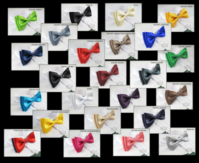 MUSZKA dziecięca chłopięca MUCHA 3-10 LAT WZORY Zapięcie pasek