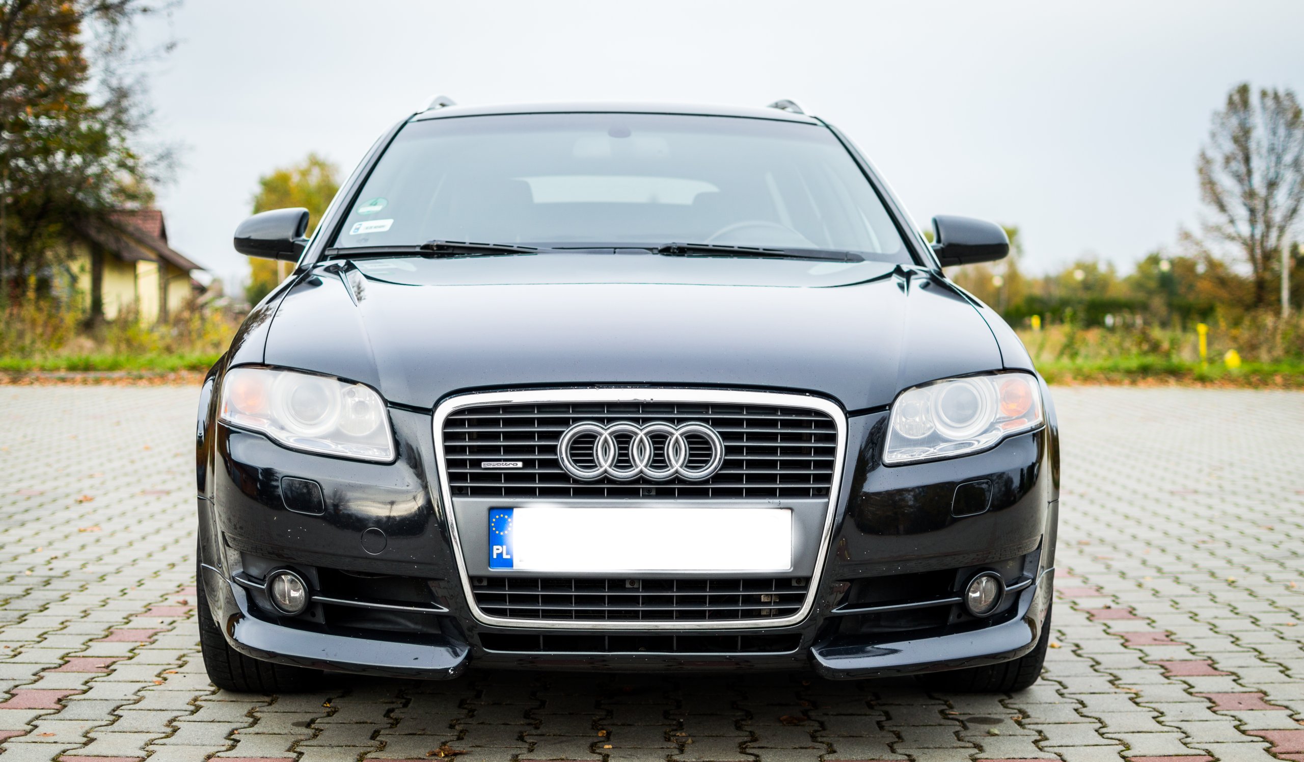 Жабо audi a4 b7