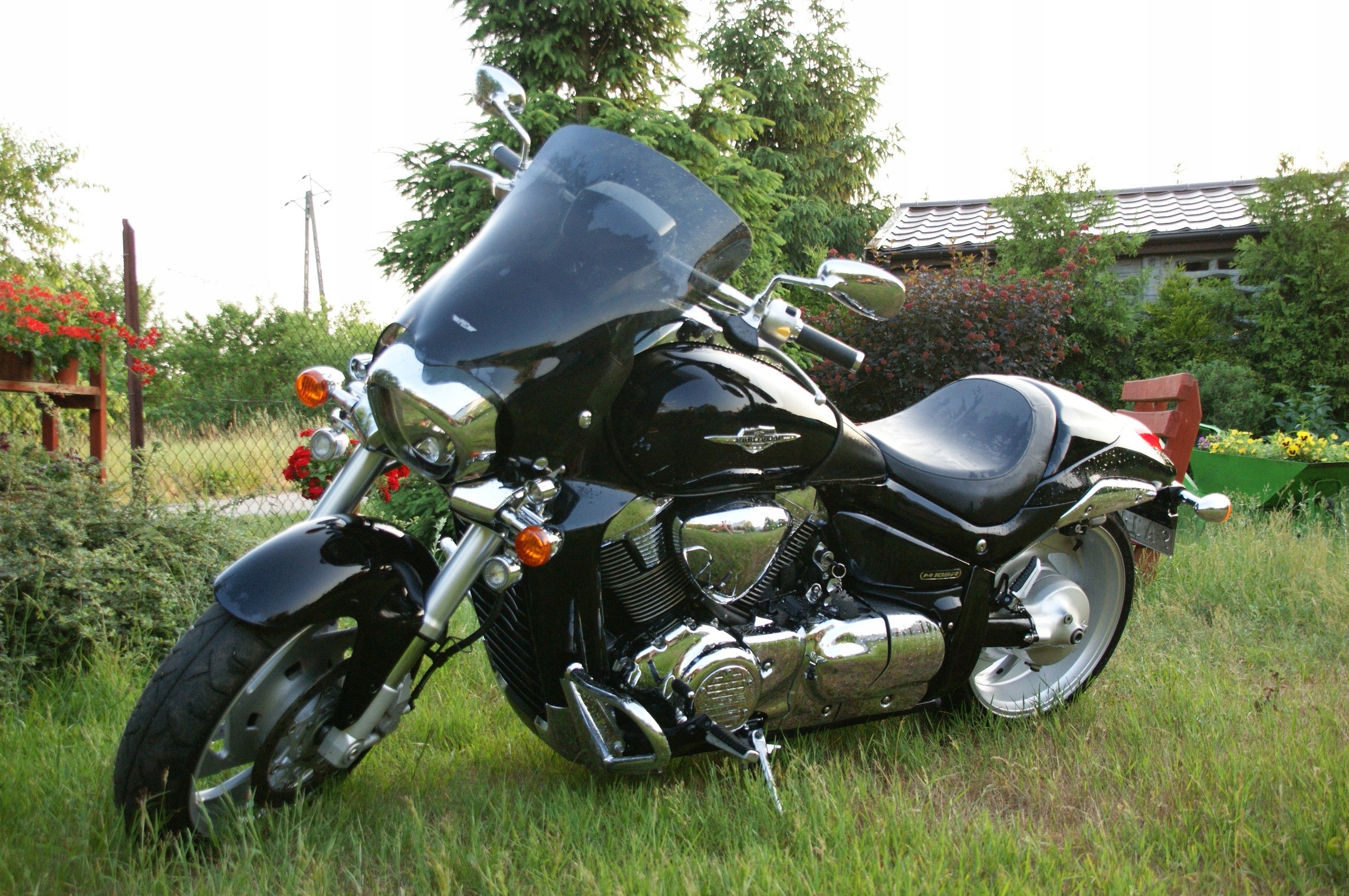 suzuki 1800