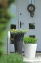 фото mini №8, Flowerpots matuba with cartridge effect wicker 3 pcs.