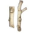 фото mini №1, Field tree drewienka ceramic birch 2pcs biofireplace