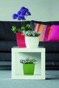 фото mini №2, Flowerpot з stand coubi 13, 5x13, 5x12cm dukp135