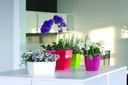 фото mini №2, Square flowerpot з stand 12xh11cm casing