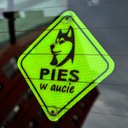 Pies в аукция отражатель neon на машина присоски3, купить с разборки