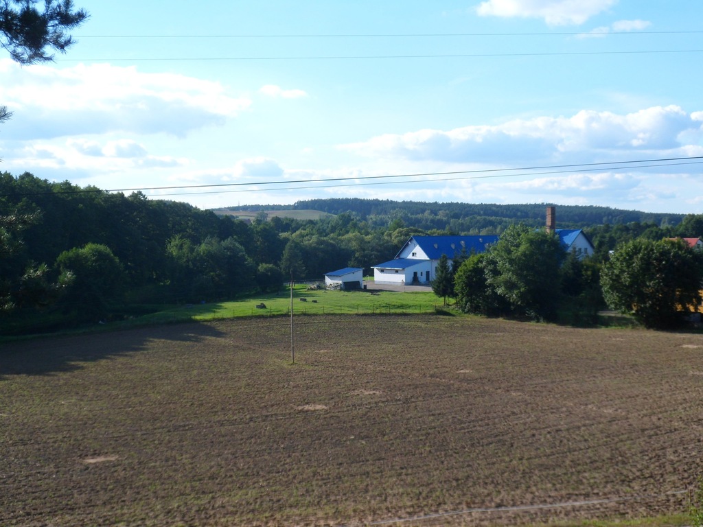 Masarnia, ubój, ubojnia, zakład mięsny