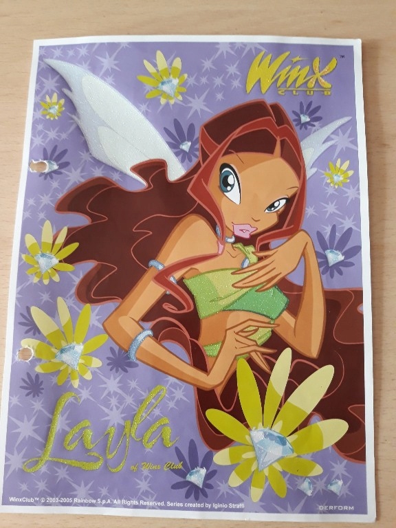 wkład do segregatora karteczki WINX brokat duże