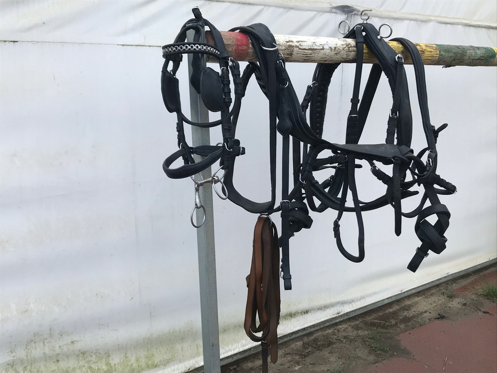 Ozdobna Uprząż Końska Do Jazdy Wierzchem uprząż końska - 7484294945 - oficjalne archiwum Allegro