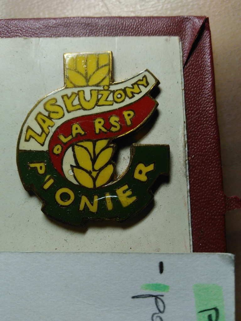 ZASŁUŻONY DLA RSP PIONIER 