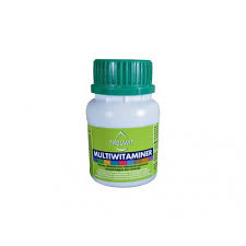 TROUWIT Multiwitaminer 100 ml BROJLERY NIOSKI