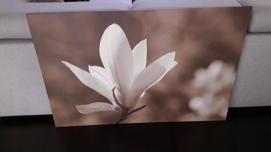 Obraz Ikea 78x118cm.