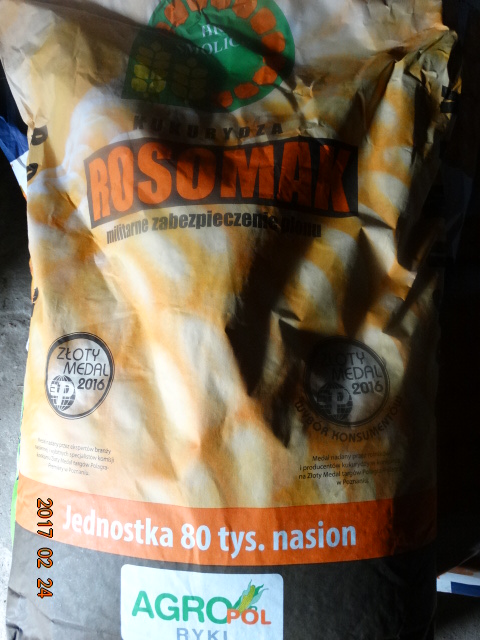 Kukurydza siewna ROSOMAK 80tys.nasion HR SMOLICE
