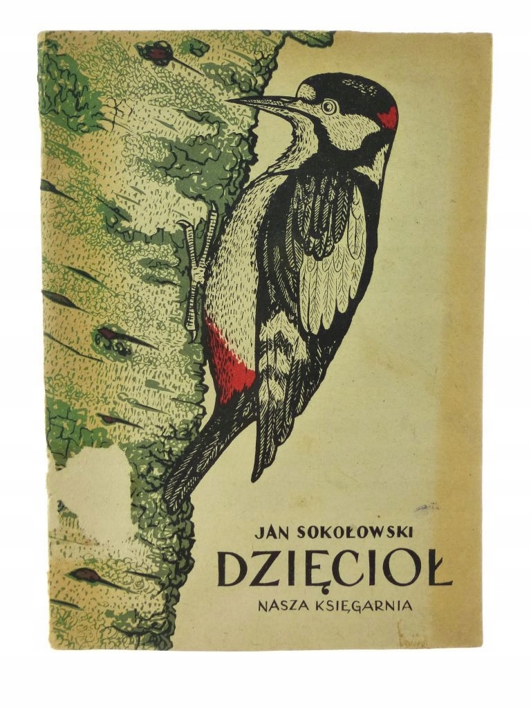 Dzięcioł - Jan Sokołowski