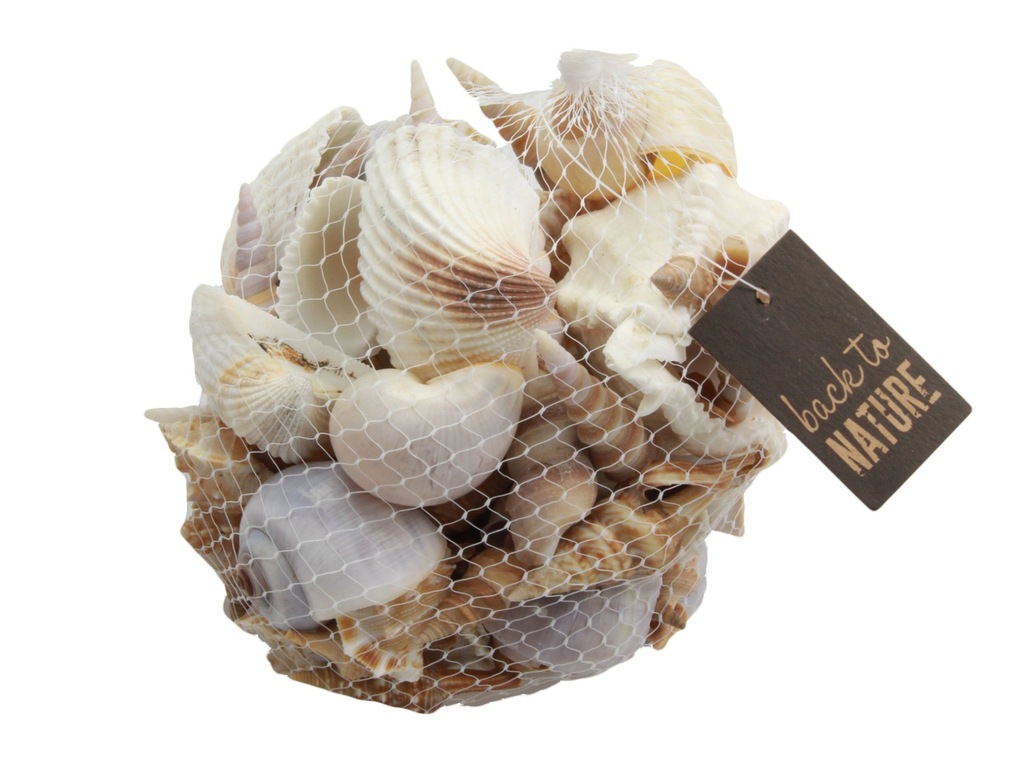 MUSZLE DEKORACYJNE MUSZELKI MORSKIE 500g 3-8cm