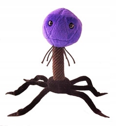 GIANT Microbes - Bakteriofag T4 UNIKAT