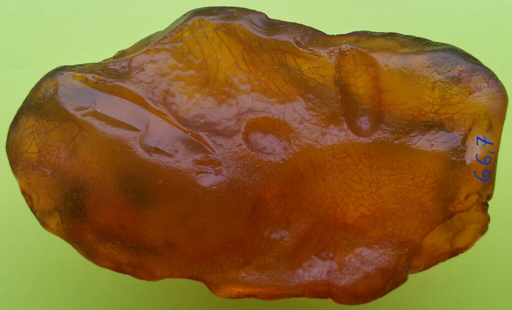 Bursztyn bałtycki 66,7 g. (sukcynit) naturalny .