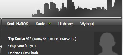 ZALUKAJ PREMIUM NA ROK KONTO VIP +12mies