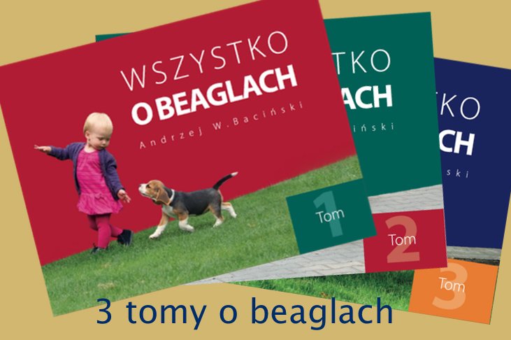 Wszytko o beaglach Andrzej Baciński 3 tomy nowe