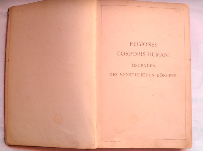 ANATOMIA CZŁOWIEKA REGIONES CORPORIS HUMANI ATLAS