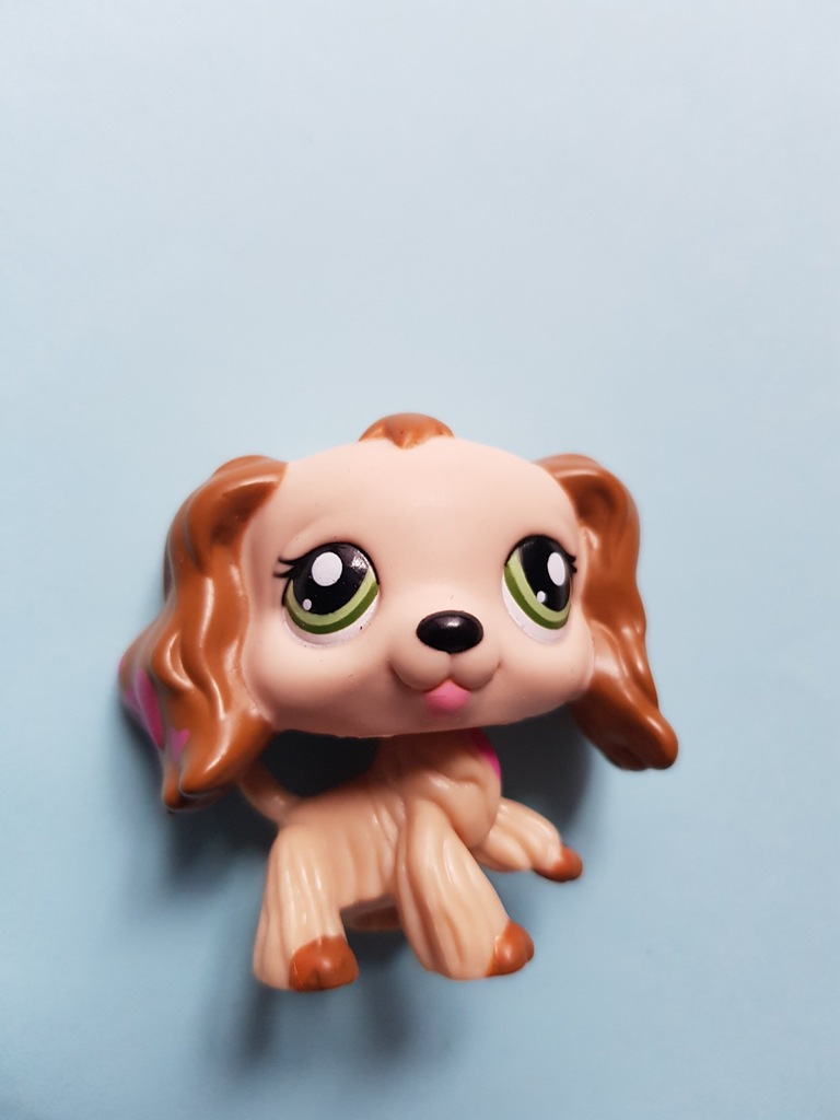 LPS spaniel walentynkowy  wys.z PL