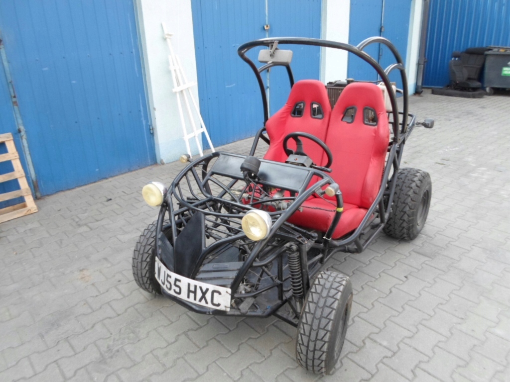 Quadzilla cheap buggy 250cc