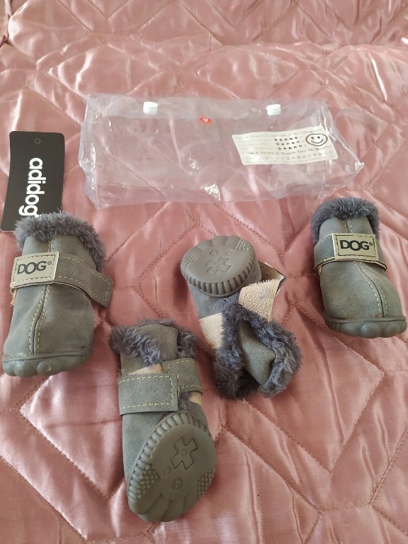 buty dla psa adidog