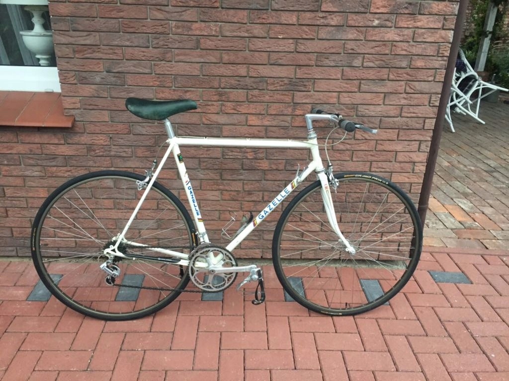 Kolarzówka gazelle
