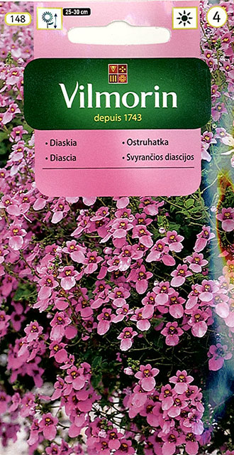 Diaskia - Diascia barberae - 0,2 g VILMORIN