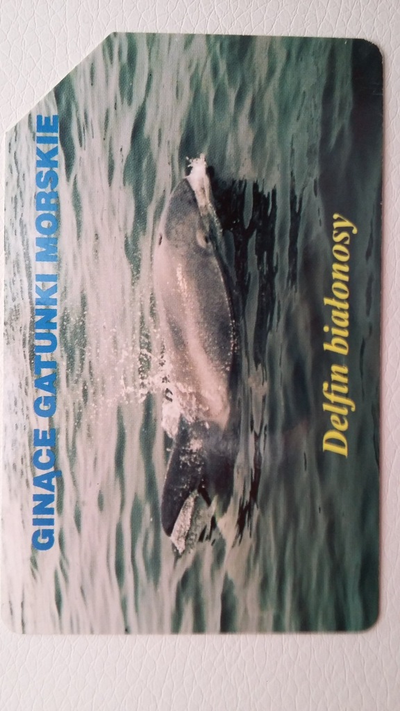 Nr 954 - Ginące gatunki morskie - delfin białonosy