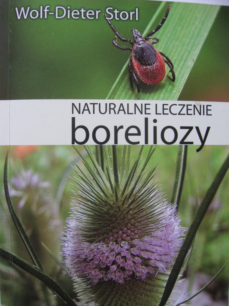 BORELIOZA Naturalne leczenie boreliozy ZIOŁA
