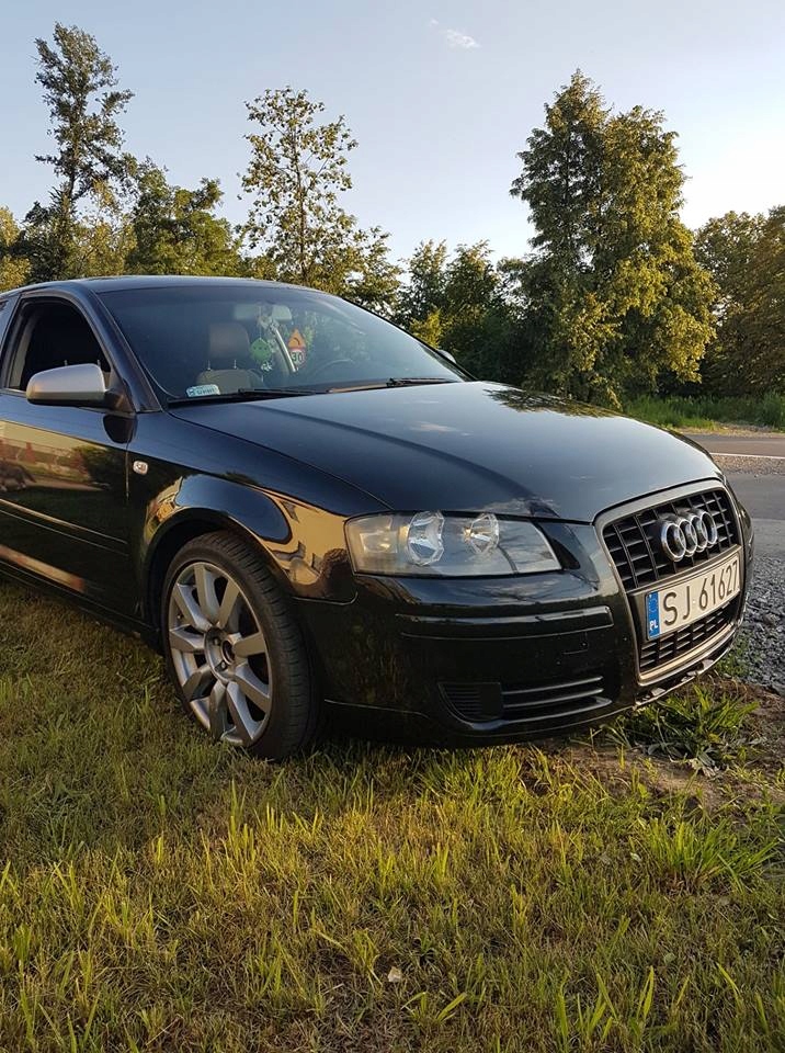 Audi a3 8P 1.9 TDI 130km