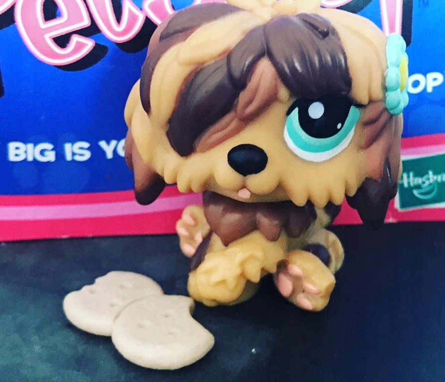 Littlest Pet Shop York Maltańczyk Piesek Unikat !!