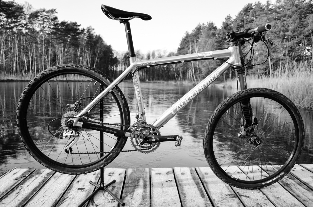 Cannondale 2024 caffeine lefty