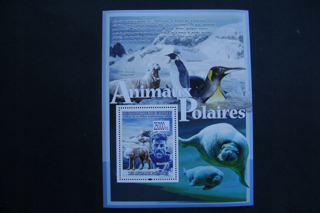 GWINEA 2008 pingwiny fauna polarna czyste**