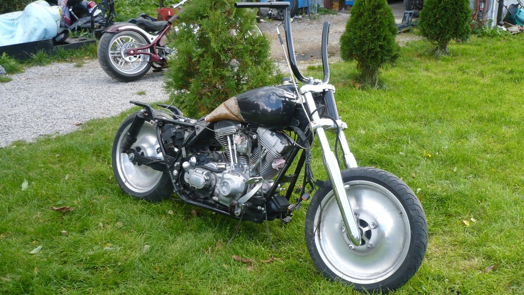 electra bagger