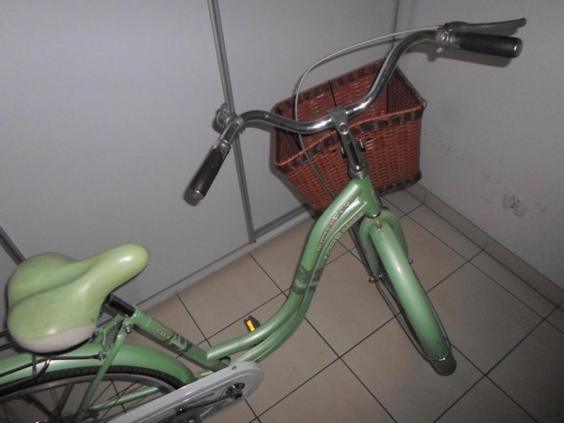 ROWER MIEJSKI DAMSKI TEAMRAIDER BUTTERFLY 26 CALI 7303573633