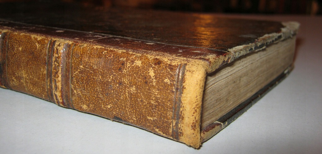 WAGA HISTORIA KSIĄŻĄT I KRÓLÓW POLSKICH 1859 półsk