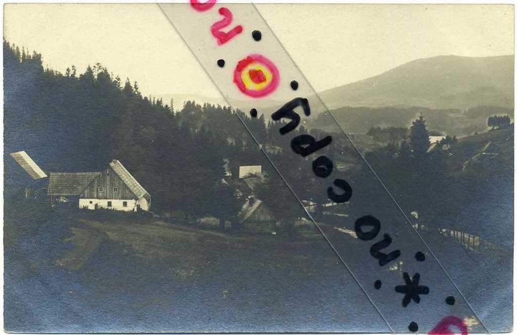 JARNOŁTÓWEK POKRZYWNA, ARNOLDSDORF WILDGRUND, FOTO