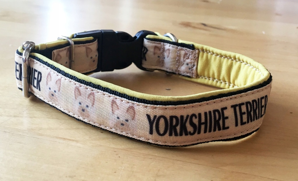 Yorkshire Terrier, York, obroża - kolory, rodzaje