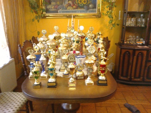 gołębie pocztowe