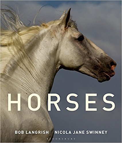 Horses Album z końmi Konie - N Swinney B. Langrish