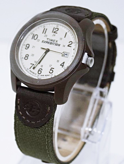 citizen 20p watch band