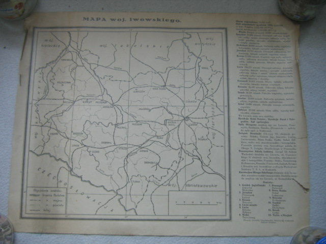Mapa Województwa Lwowskiego - Lwów