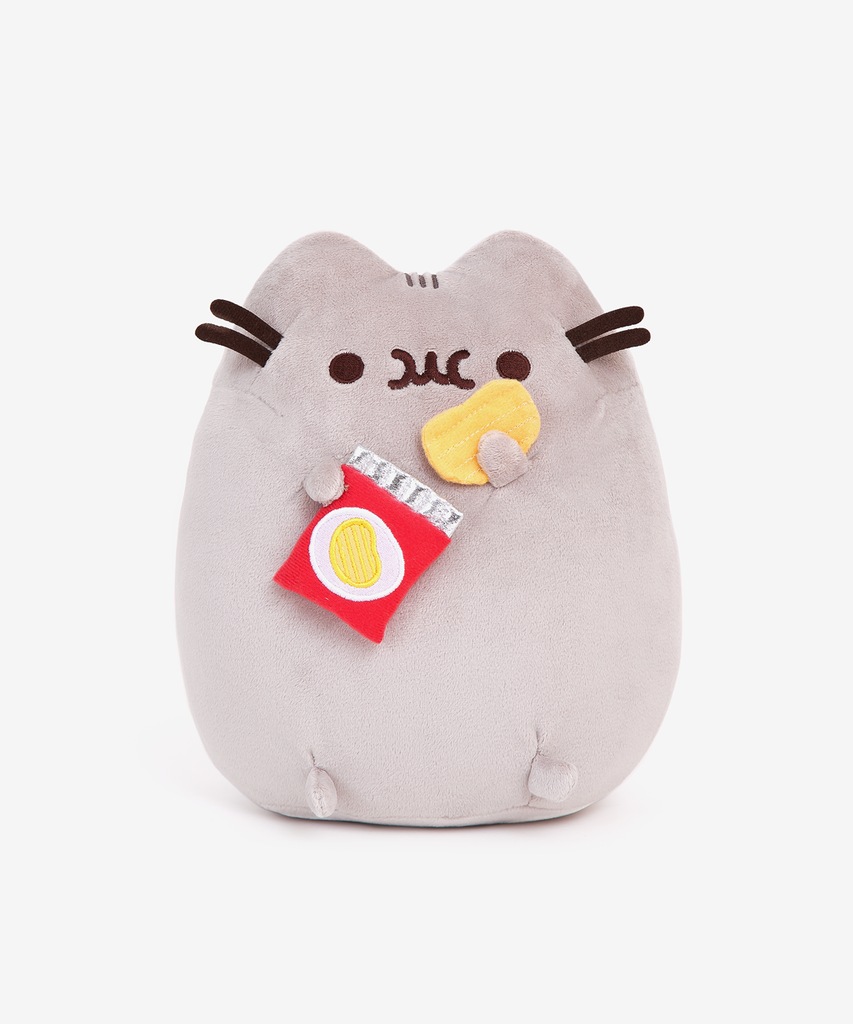 KOT PUSHEEN Z Chipsami Oryginał 4058948