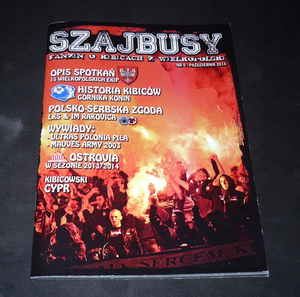 Szajbusy zin kibice Wielkopolska kibole chuligani