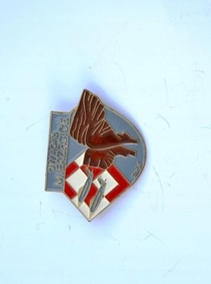Odznaka JW 4043 Mierzęcice