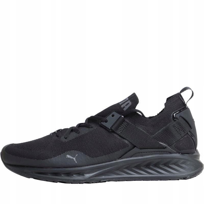 Puma ignite hotsell evoknit allegro